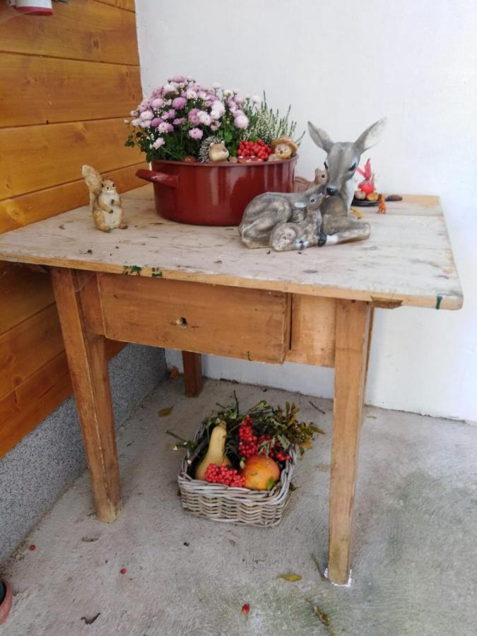 Ferienhaus Bauer Trattenbach  Ngoại thất bức ảnh